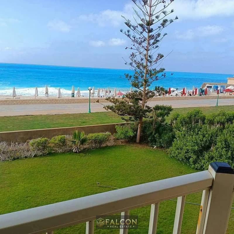 16 c2430f44-67b8-4b6e-a979-84423a4e0cfc. jpg