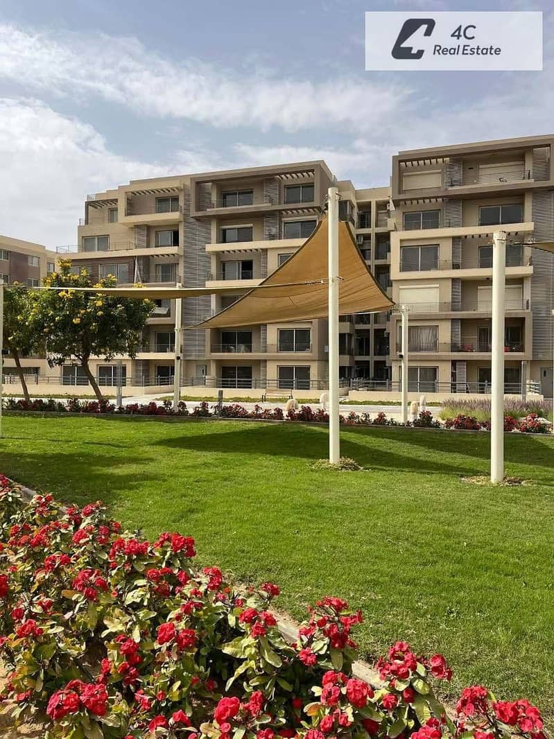 12 IMG_2866. jpg