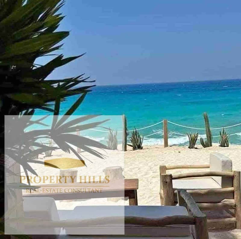 7 1000732522. jpg