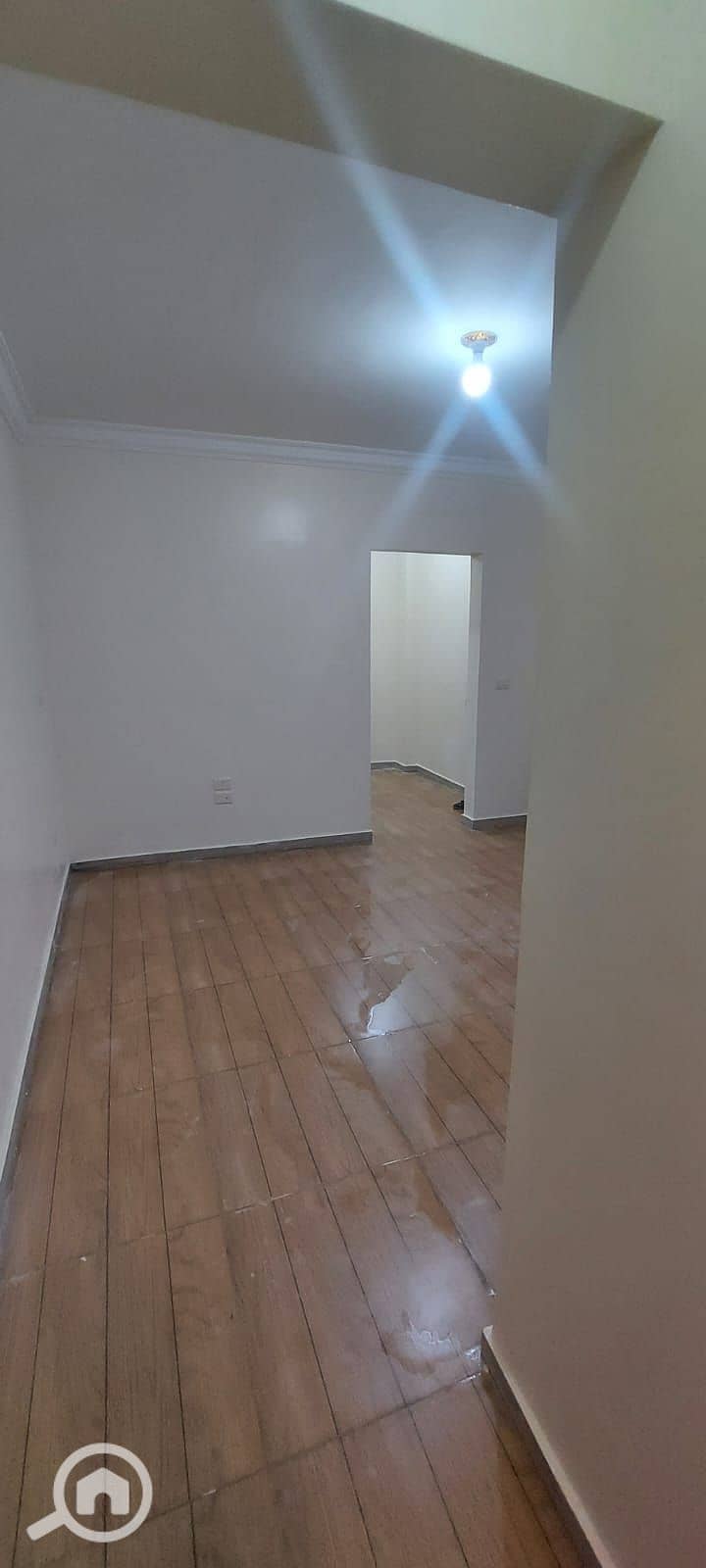 5 1000572471. jpg