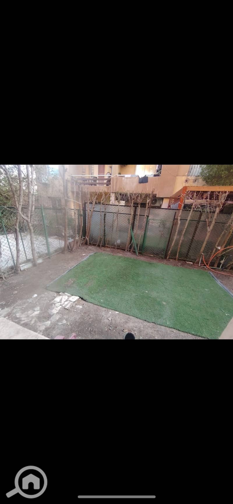 4 931803. jpg