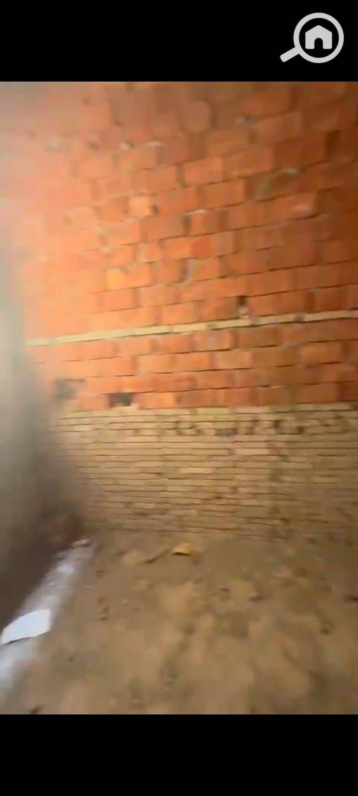 9 1000529114. jpg