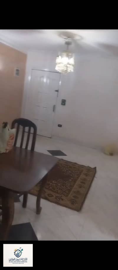 2 Bedroom Flat for Rent in Maadi, Cairo - 1000257108. jpg 2 Bedroom Flat for Rent in Maadi, Cairo - 1000257108. jpg
