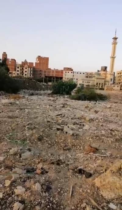 أرض  للبيع في المنصورة، الدقهلية - قطعة أرض كردون مباني بجوار مدارس الصفوة