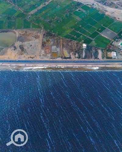 Land for Sale in Fayoum City, Fayoum - 1000162942. jpg