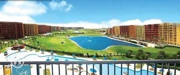 3 IMG_7074. jpg