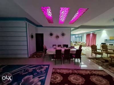 4 Bedroom Apartment for Rent in Sidi Beshr, Alexandria - شقة للإيجار بسيدي بشر الفضالي