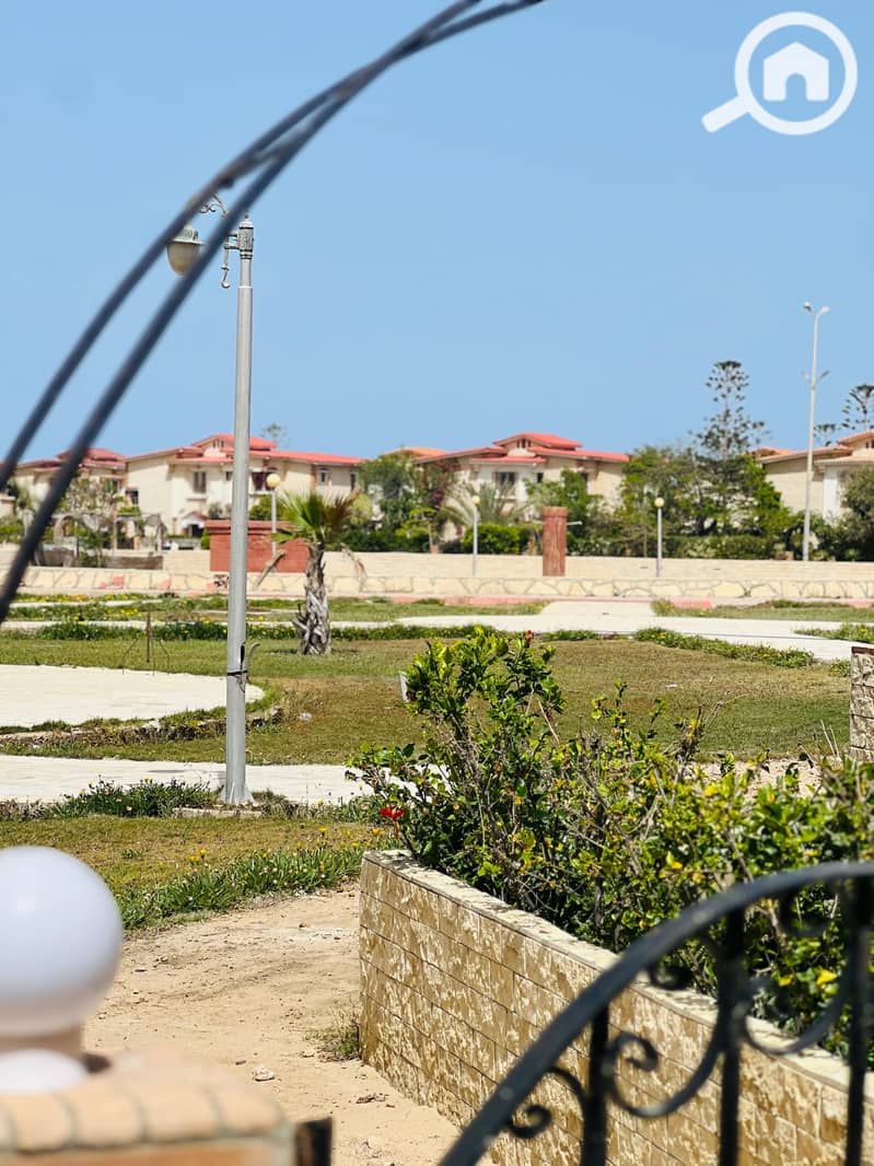 15 177967. jpg