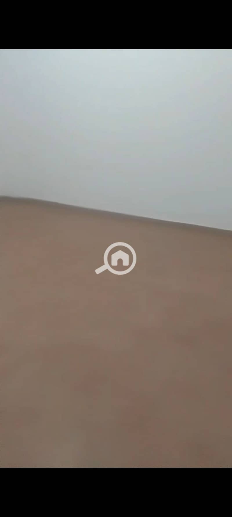 8 1000417480. jpg