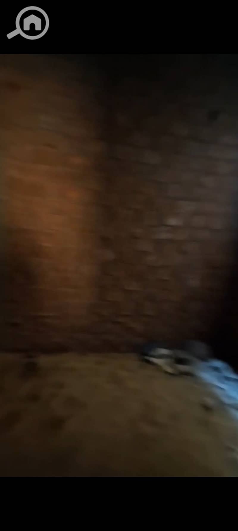 15 1000487587. jpg