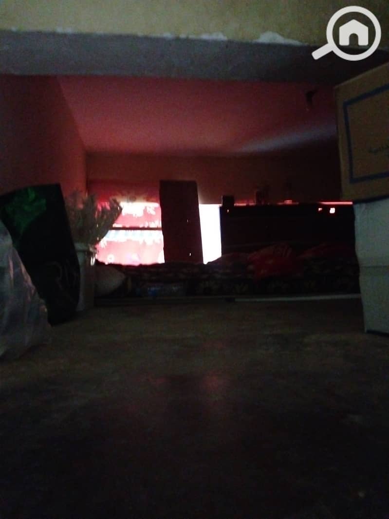 20 1000414244. jpg
