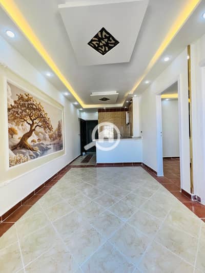 فلیٹ 2 غرفة نوم للبيع في النخيل، الإسكندرية - IMG_3950. jpg
