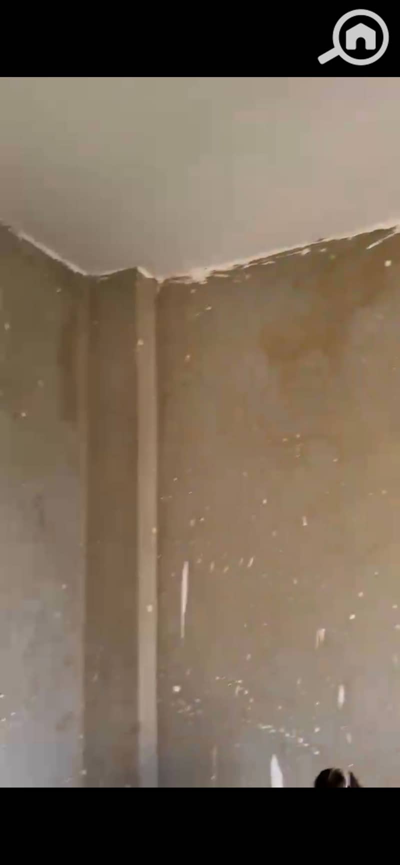 2 933838. jpg