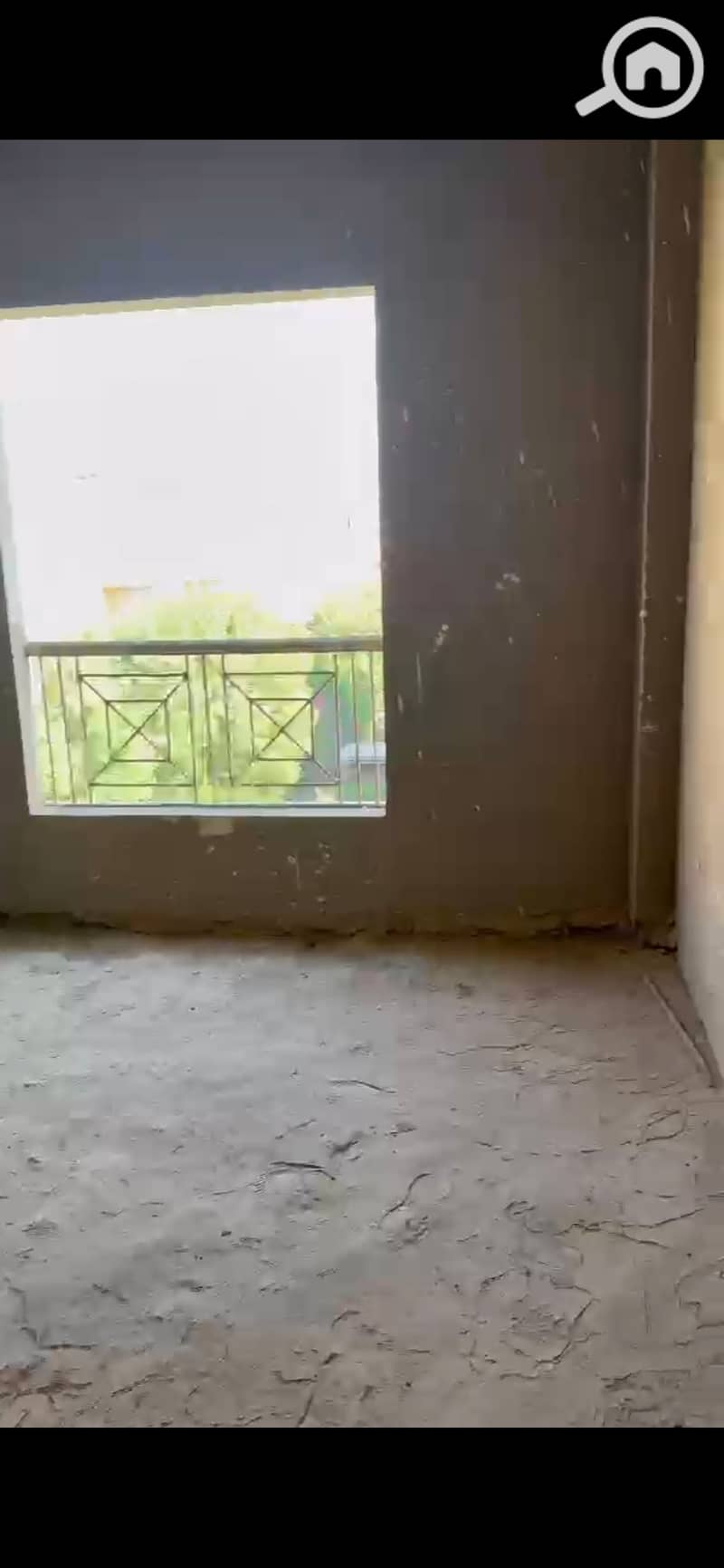 7 933835. jpg