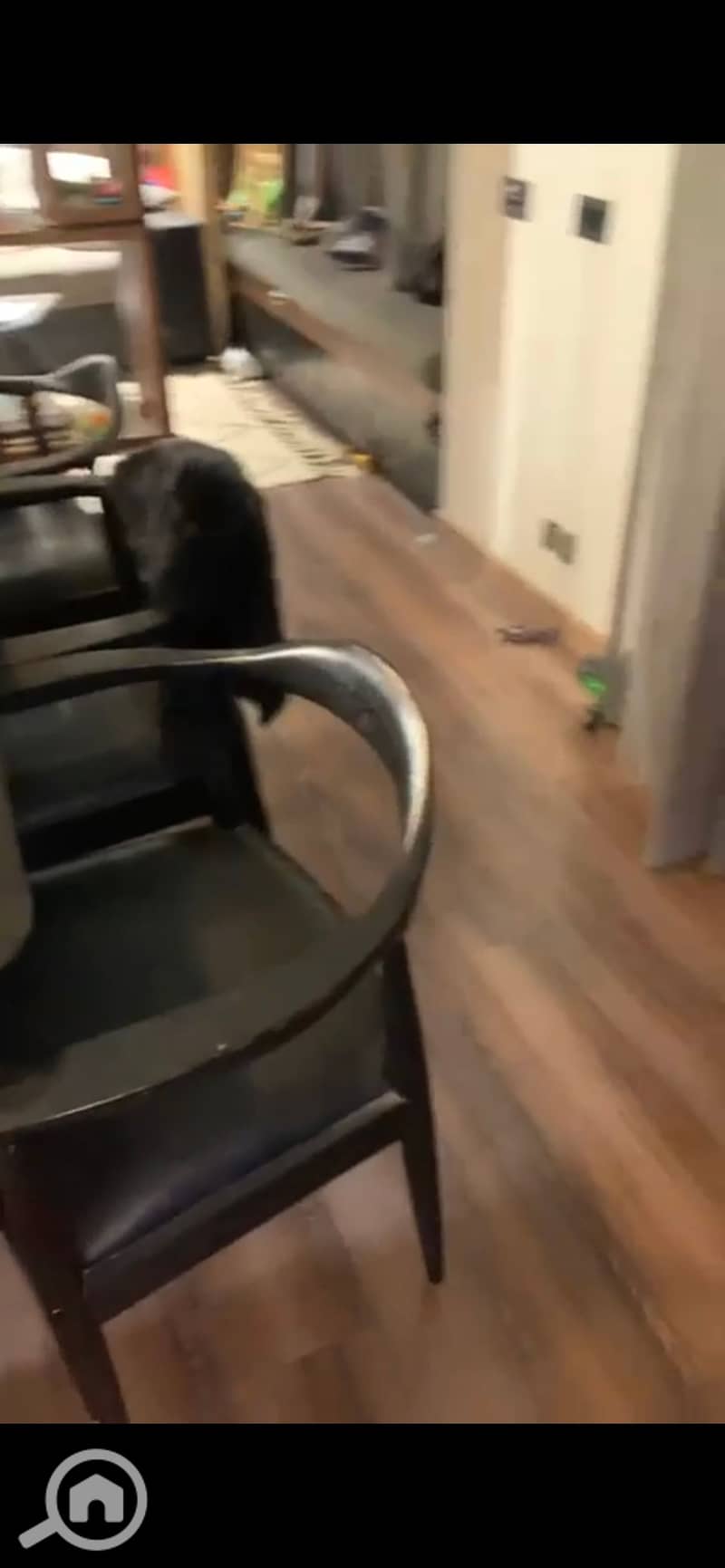 9 933864. jpg