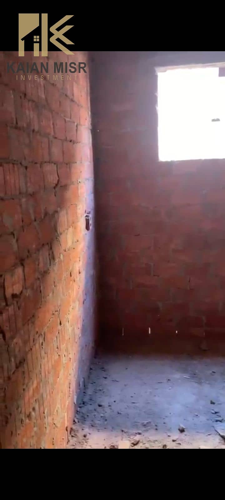 10 1000006088. jpg