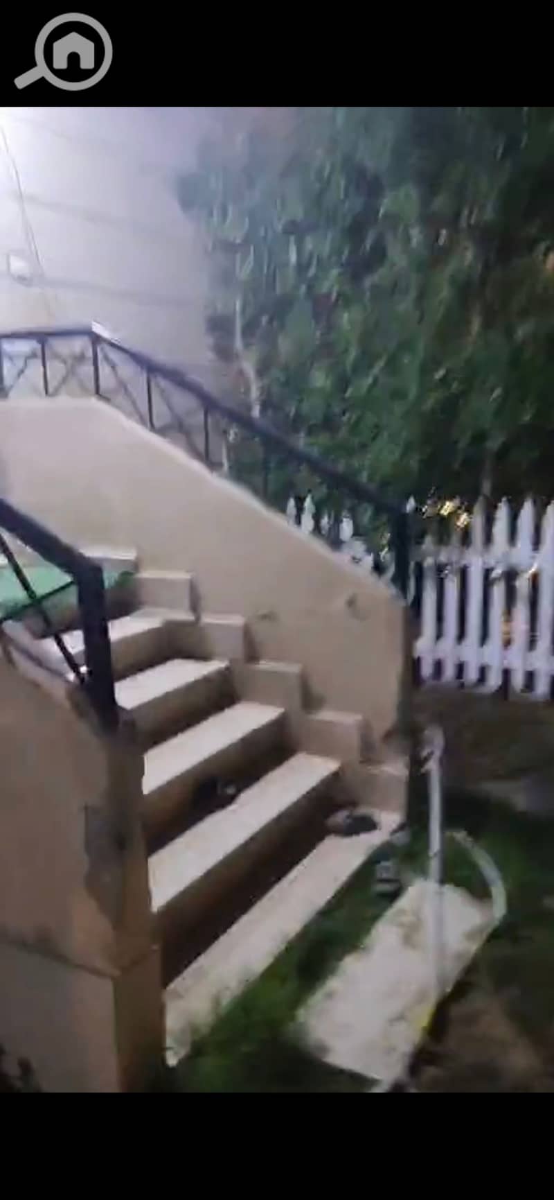 9 933965. jpg