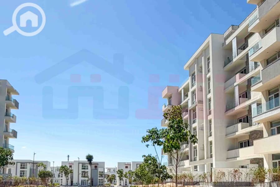 7 WhatsApp Image 2026-08-12 at 15.40. 02 (1). jpg
