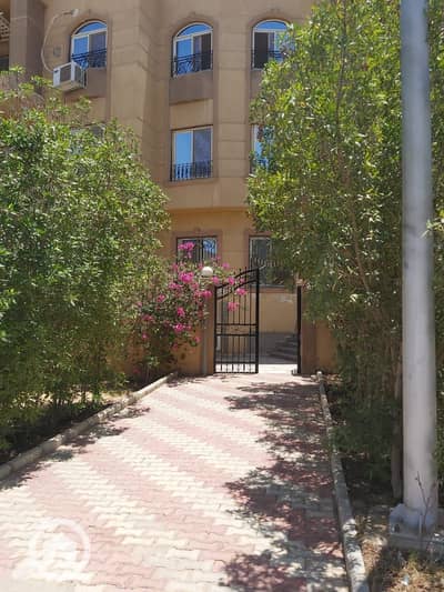 3 Bedroom Flat for Rent in Sheikh Zayed, Giza - WhatsApp Image 2026-08-22 at 11.30. 50 AM (1). jpeg