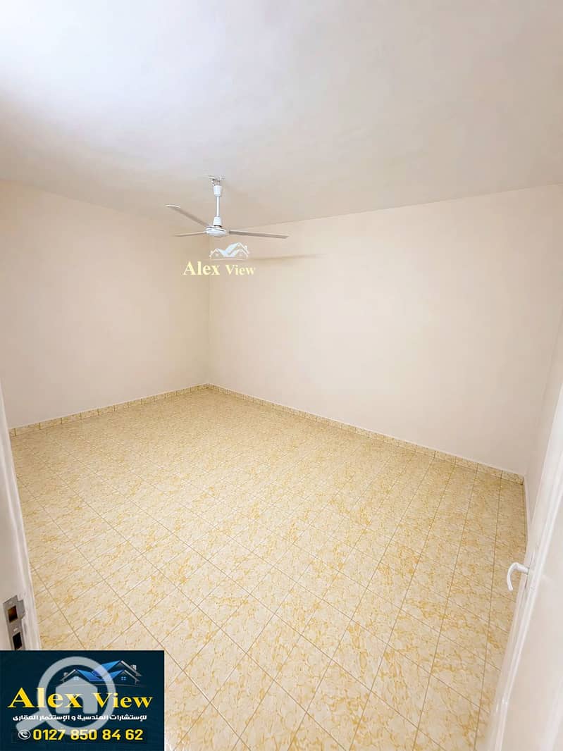 5 5. jpg