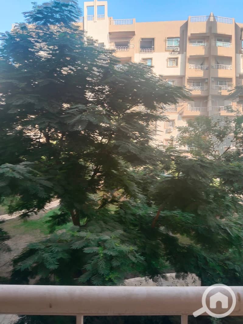 7 5. jpg