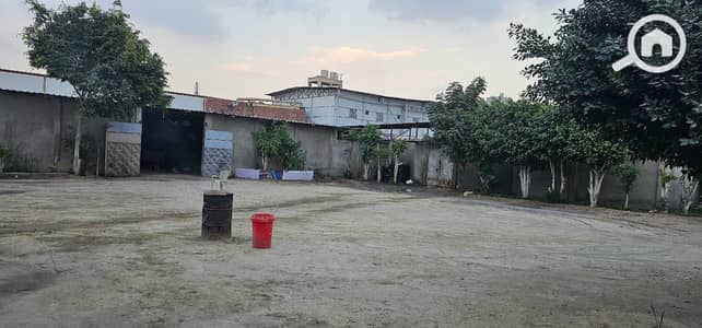 Factory for Rent in Zahraa Al Maadi, Cairo - WhatsApp Image 2026-08-22 at 1.13. 51 PM (3). jpeg Factory for Rent in Zahraa Al Maadi, Cairo - WhatsApp Image 2026-08-22 at 1.13. 51 PM (3). jpeg