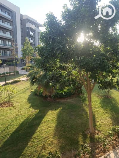 3 Bedroom Apartment for Rent in Madinaty, Cairo - WhatsApp Image 2026-08-20 at 2.37. 07 PM (3). jpeg
