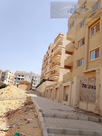 شقة 3 غرف نوم للبيع في القاهرة الجديدة، القاهرة - edc3cbf2-c650-4d25-8082-ea39d3787cff. jpeg شقة 3 غرف نوم للبيع في القاهرة الجديدة، القاهرة - edc3cbf2-c650-4d25-8082-ea39d3787cff. jpeg