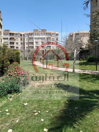3 Bedroom Flat for Sale in Madinaty, Cairo - WhatsApp Image 2026-08-19 at 6.05. 46 PM (4). jpeg 3 Bedroom Flat for Sale in Madinaty, Cairo - WhatsApp Image 2026-08-19 at 6.05. 46 PM (4). jpeg