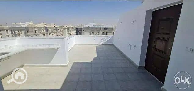 3 WhatsApp Image 2026-08-20 at 2.08. 04 PM. jpeg