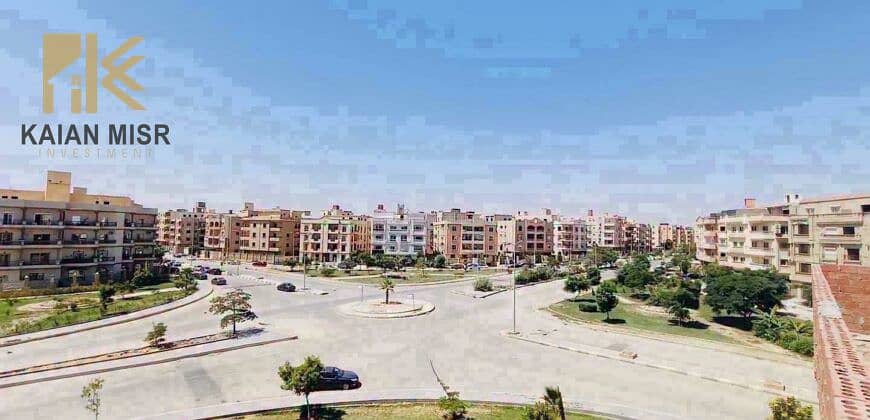 4 7499. jpg