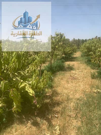 Agricultural Land for Sale in Daraw, Aswan - 1f0689f2-e1b6-40cf-99d1-b92fea2f41da. jpg