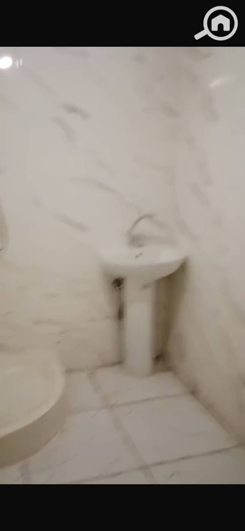 5 IMG_1258. png