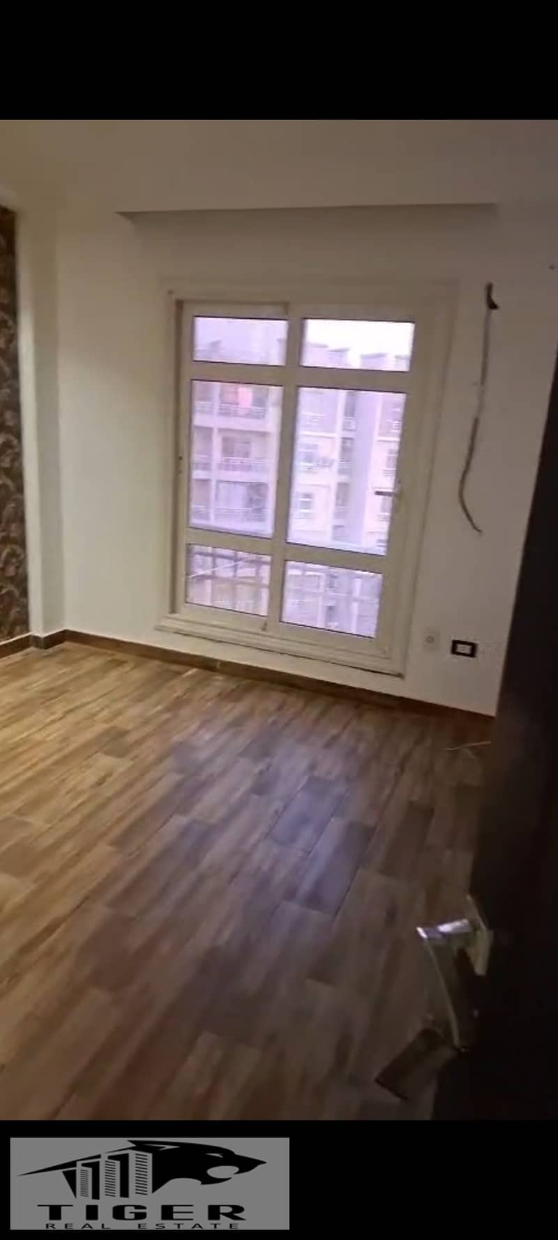 5 1000811061. jpg