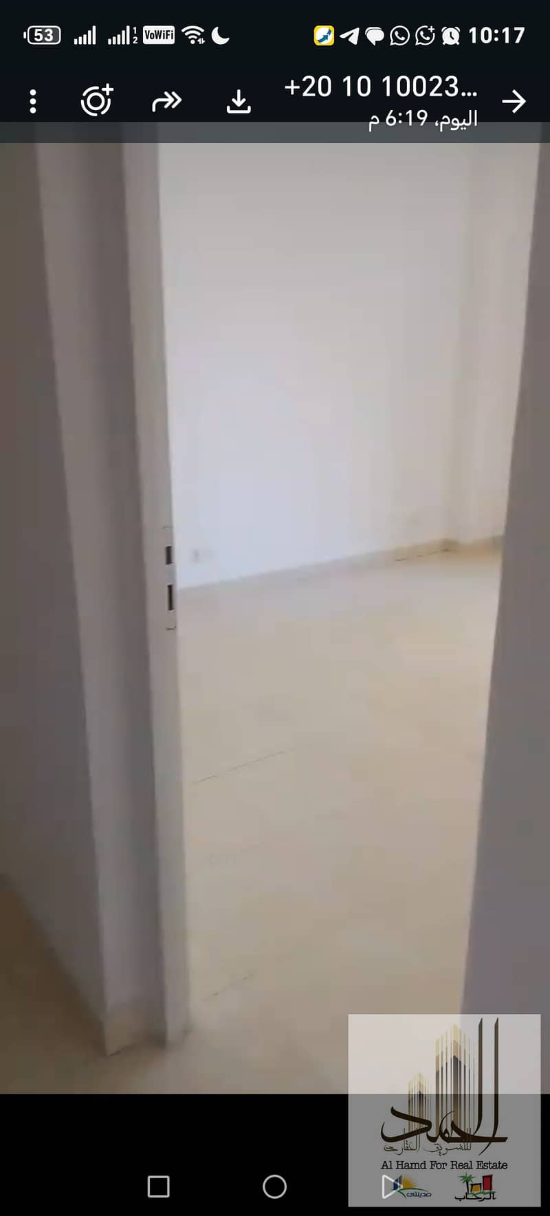 9 1000892317. jpg