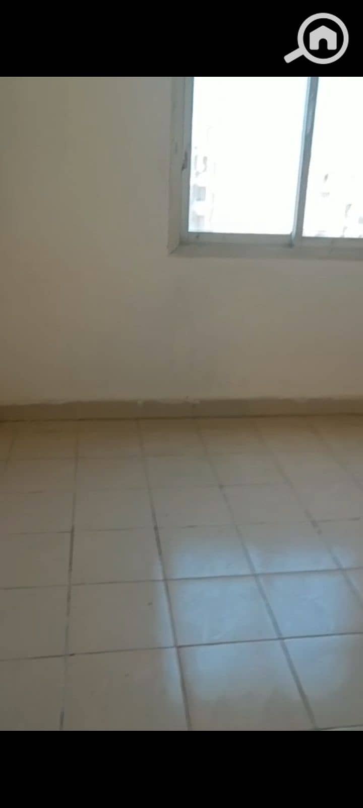 5 1000081320. jpg