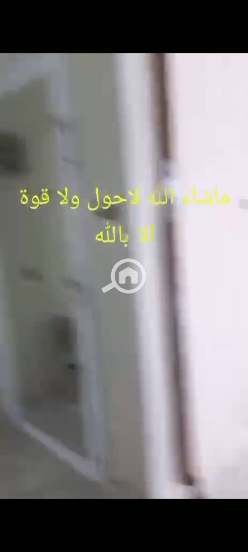 4 1000727161. jpg