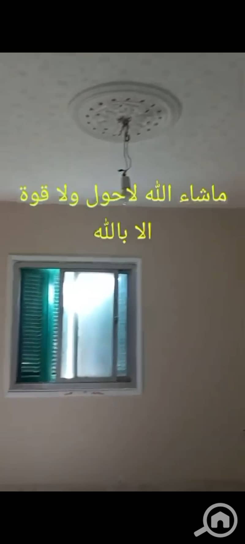 8 1000727157. jpg