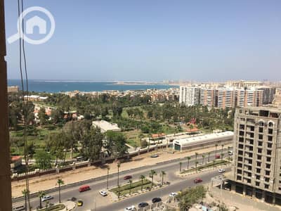 فلیٹ 3 غرف نوم للايجار في المنتزه، الإسكندرية - WhatsApp Image 2026-08-21 at 7.15. 34 PM. jpeg فلیٹ 3 غرف نوم للايجار في المنتزه، الإسكندرية - WhatsApp Image 2026-08-21 at 7.15. 34 PM. jpeg