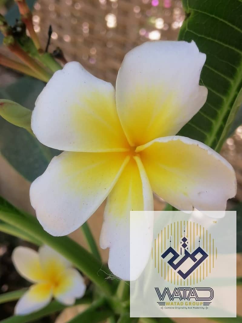 4 WhatsApp Image 2026-07-28 at 1.44. 29 PM. jpeg