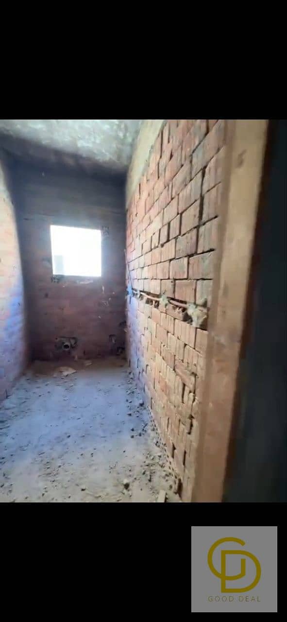 11 photo_2026-08-22_22-01-21. jpg