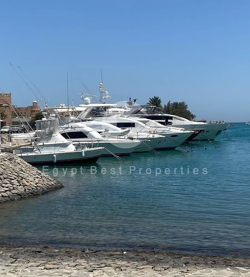 4 783cd430-6e52-4dac-b01b-2393b4cd9765. jpg