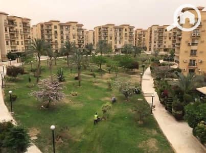 شقة 3 غرف نوم للبيع في القاهرة الجديدة، القاهرة - WhatsApp Image 2026-08-23 at 1.56. 07 PM. jpeg شقة 3 غرف نوم للبيع في القاهرة الجديدة، القاهرة - WhatsApp Image 2026-08-23 at 1.56. 07 PM. jpeg
