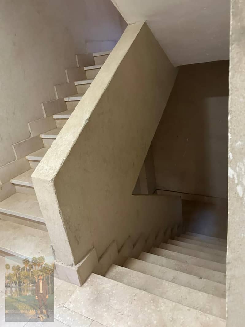 6 1000904207. jpg