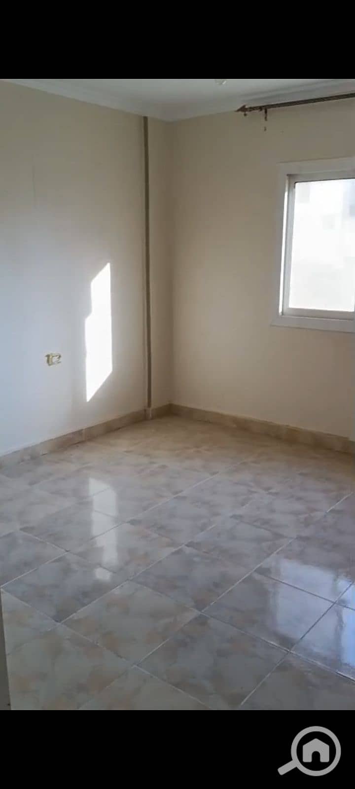 2 1000671954. jpg