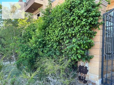 8 Bedroom Duplex for Sale in New Cairo, Cairo - WhatsApp Image 2026-08-20 at 10.36. 34 PM. jpeg 8 Bedroom Duplex for Sale in New Cairo, Cairo - WhatsApp Image 2026-08-20 at 10.36. 34 PM. jpeg
