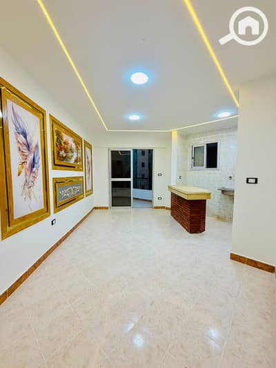 2 Bedroom Apartment for Sale in Nakheel, Alexandria - 4406f268-c7e7-4de0-bc3d-be97fd5a8e32. jpg 2 Bedroom Apartment for Sale in Nakheel, Alexandria - 4406f268-c7e7-4de0-bc3d-be97fd5a8e32. jpg