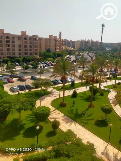 3 Bedroom Apartment for Rent in New Cairo, Cairo - WhatsApp Image 2026-08-23 at 2.09. 59 PM. jpeg 3 Bedroom Apartment for Rent in New Cairo, Cairo - WhatsApp Image 2026-08-23 at 2.09. 59 PM. jpeg