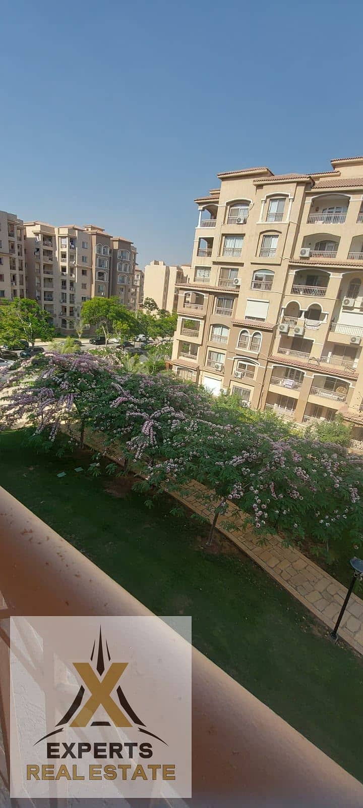 2 WhatsApp Image 2026-08-19 at 4.21. 31 PM. jpeg