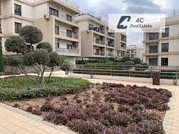 8 images (5). jpg